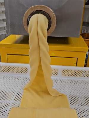 Lasagneplatten frisch 1kg